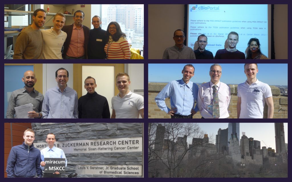 a collage of photos showing Jan Christoph and Marc Hinderer with the US partners they visited during their visit to New York (4 group pictures, 1 picture with JC/ MH in front of the Memorial Sloan-Kettering Cancer Cener and 1 photo of the skyline of New York) .